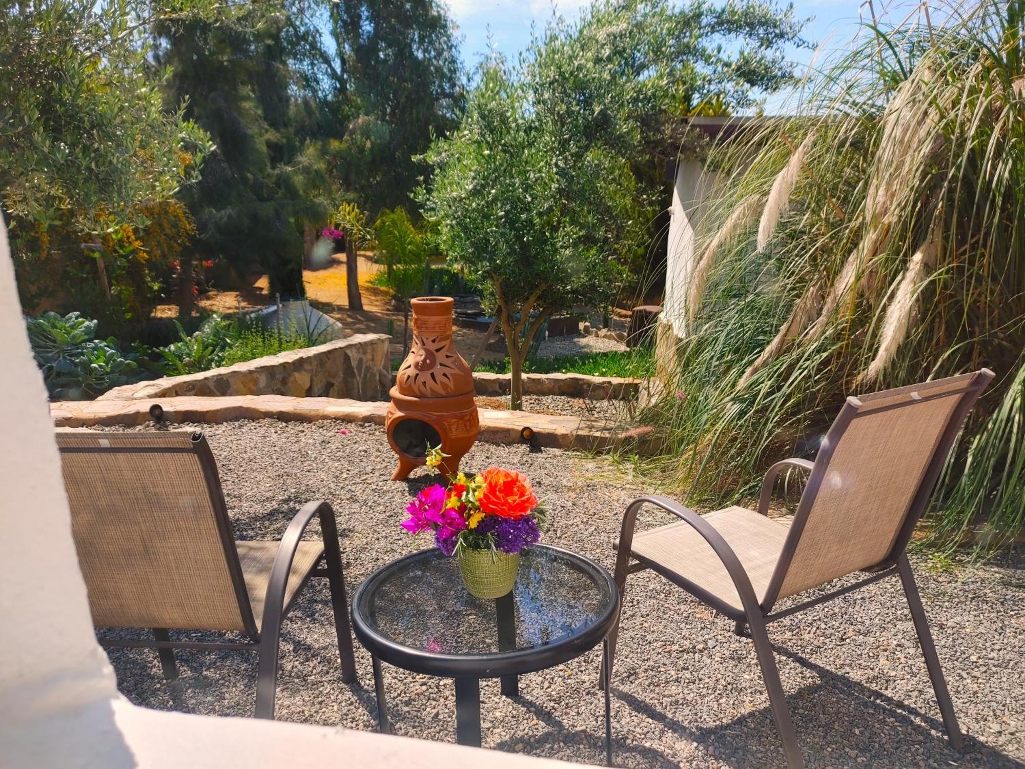 Hacienda Eco-Domes Villa Valle de Guadalupe Exteriör bild